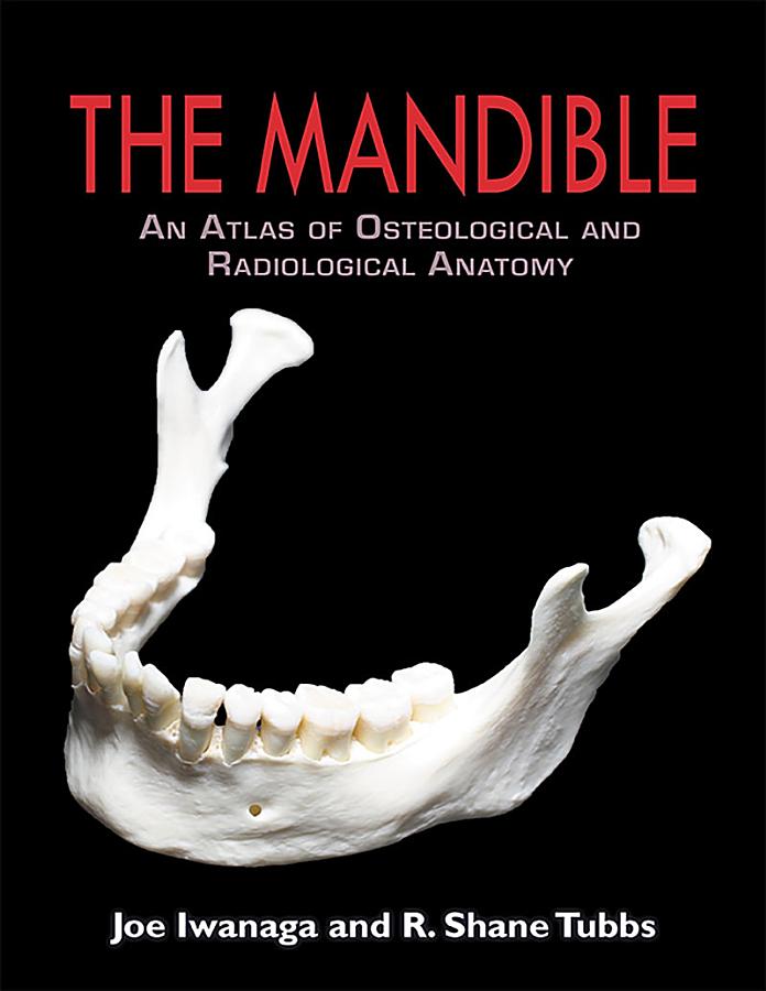 The Mandible