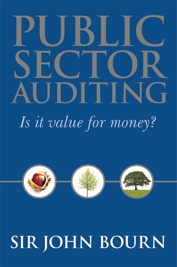 Public Sector Auditing